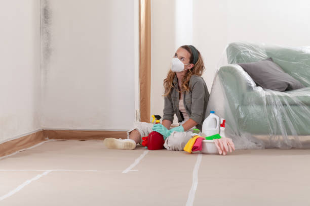 Reliable Mold Remediation contractor in Carrollton, TX by WQB Mold Removal